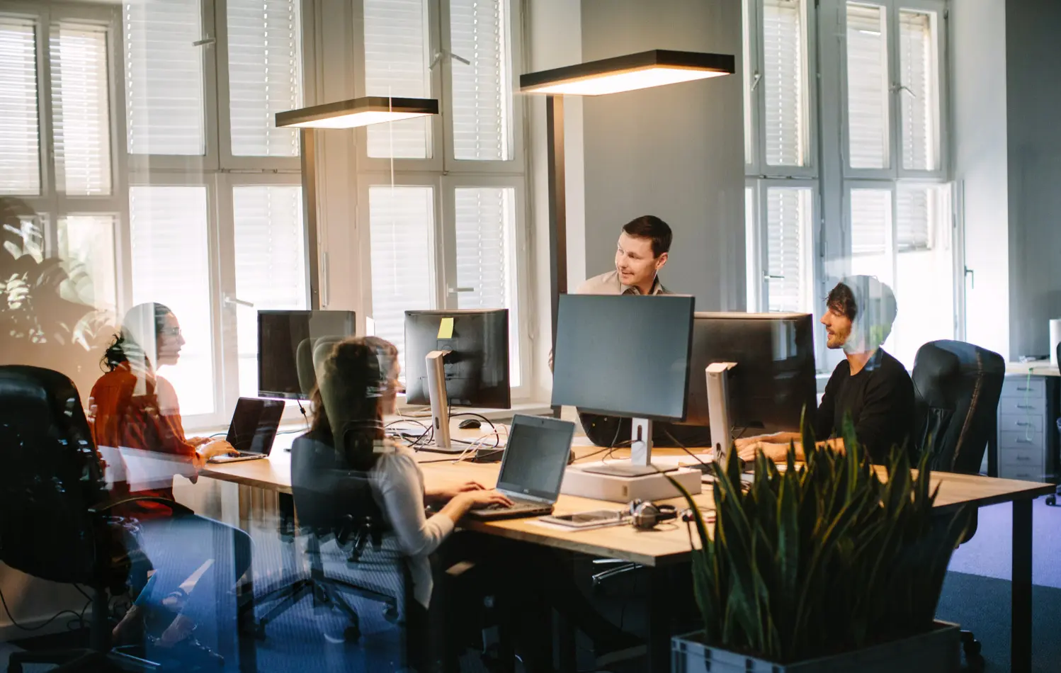 Dedicated IT team managing servers and software
